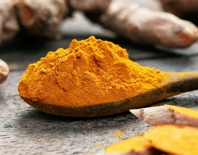 Turmeric
Turmeric is widely recognized and used as a natural antioxidant and anti-inflammatory ingredient. The latest research shows that turmeric has multiple health benefits for cardiovascular, brain, joint, immunity, gastrointestinal tract and sports.